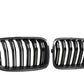 Dry Carbon Kühlergrill Nieren für BMW X3 F25 X4 F26