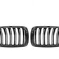 Dry Carbon Kühlergrill Nieren für BMW X3 F25 X4 F26