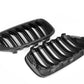 Dry Carbon Kühlergrill Nieren für BMW X3 F25 X4 F26