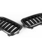 Dry Carbon Kühlergrill Nieren für BMW X5 F15 X6 F16 X5M F85 X6M F86