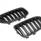 Dry Carbon Kühlergrill Nieren für BMW X3 F25 X4 F26