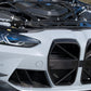 Dry Carbon MAX CARBON Design Kühlergrill Nieren für BMW M3 G80 G81 / M4 G82 G83 CSL